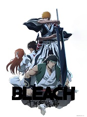 bleach-soukoku-tan